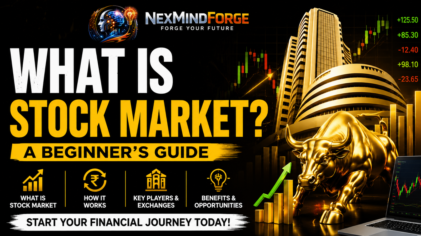 What is stock market beginner guide with stock market charts, trading concepts and financial education by NexMindForge